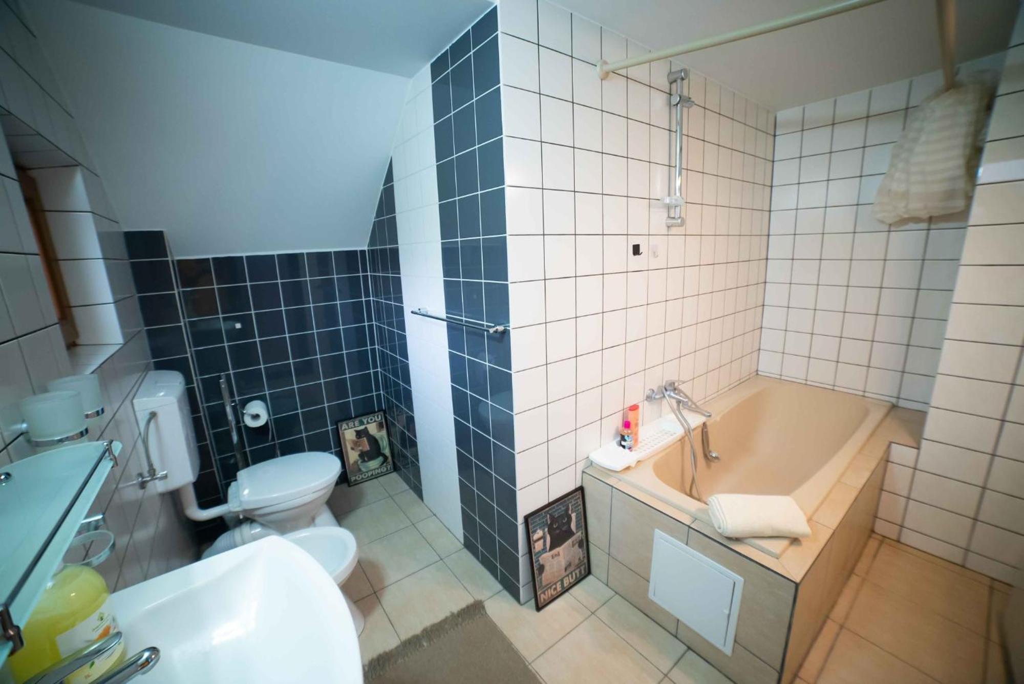 Full-House Si Gradina In Bucovina, Lisaura Villa Dış mekan fotoğraf